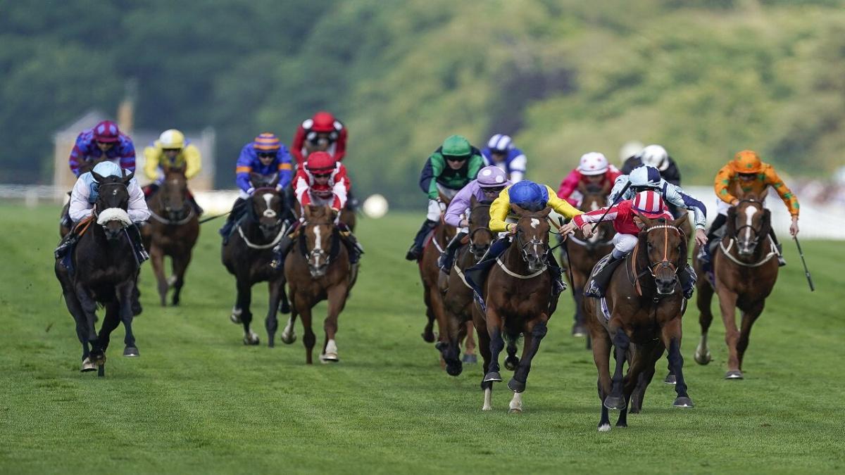 Ascot head on
